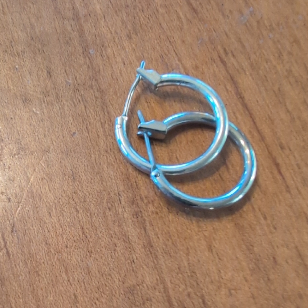 Elegant Silver Hoop Earrings